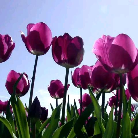 老娘走在路上！鬼都要挠道！