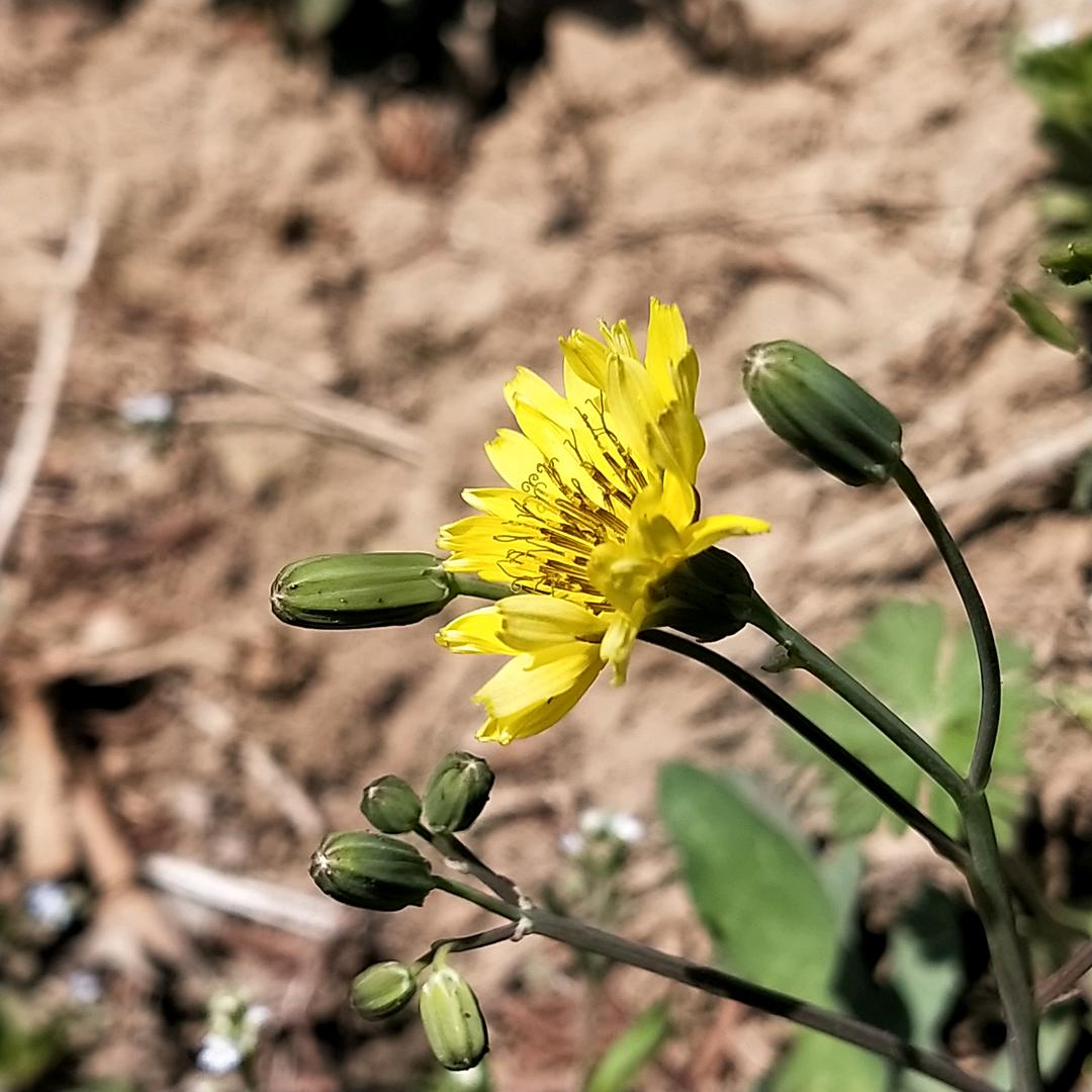 金刚网厂家直销