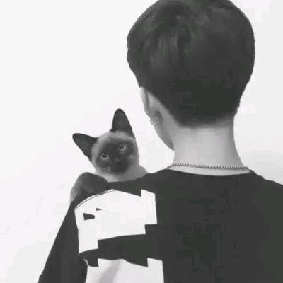 雄安好价回收废旧手机