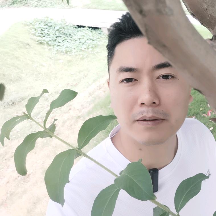 @顺哥