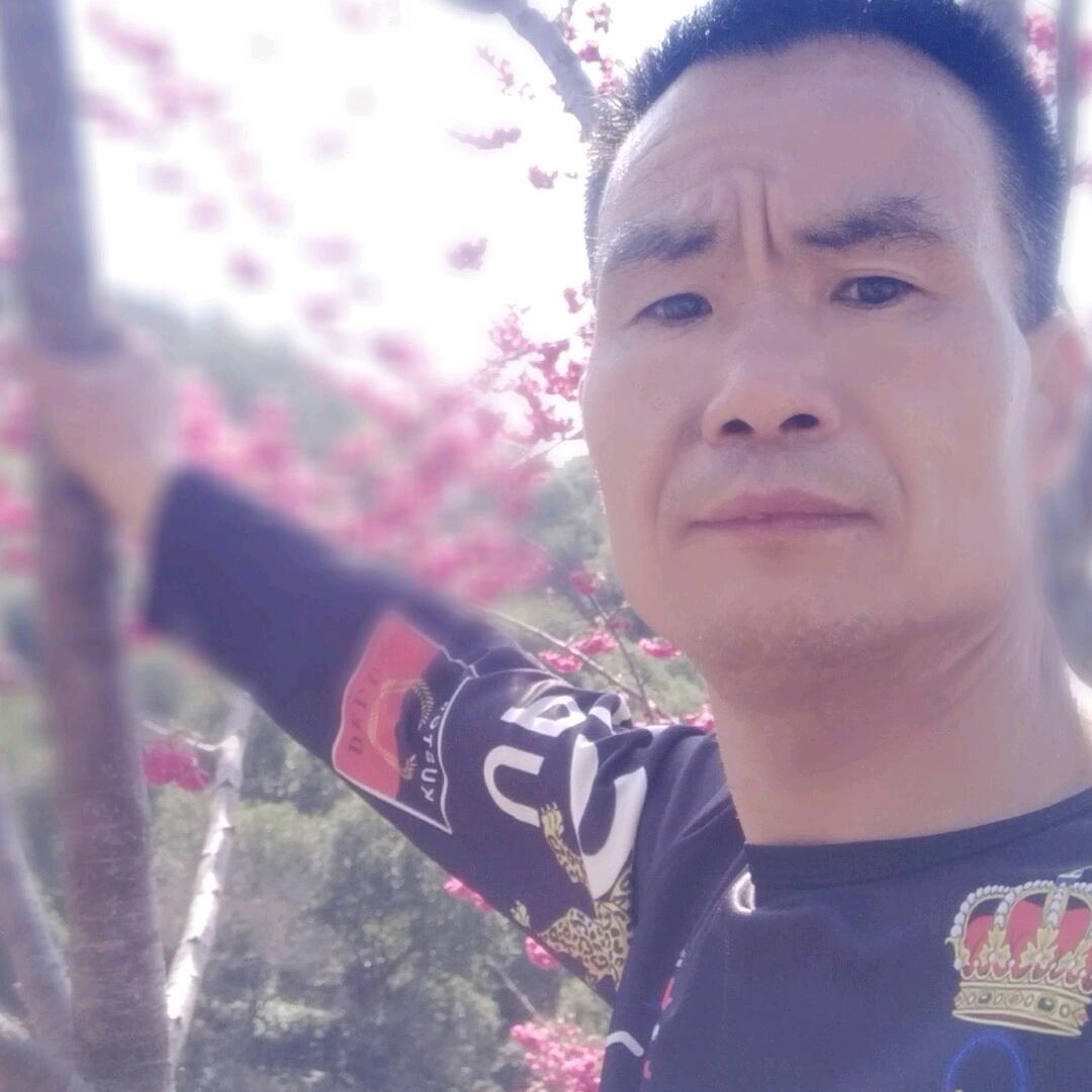 开心果谢建新