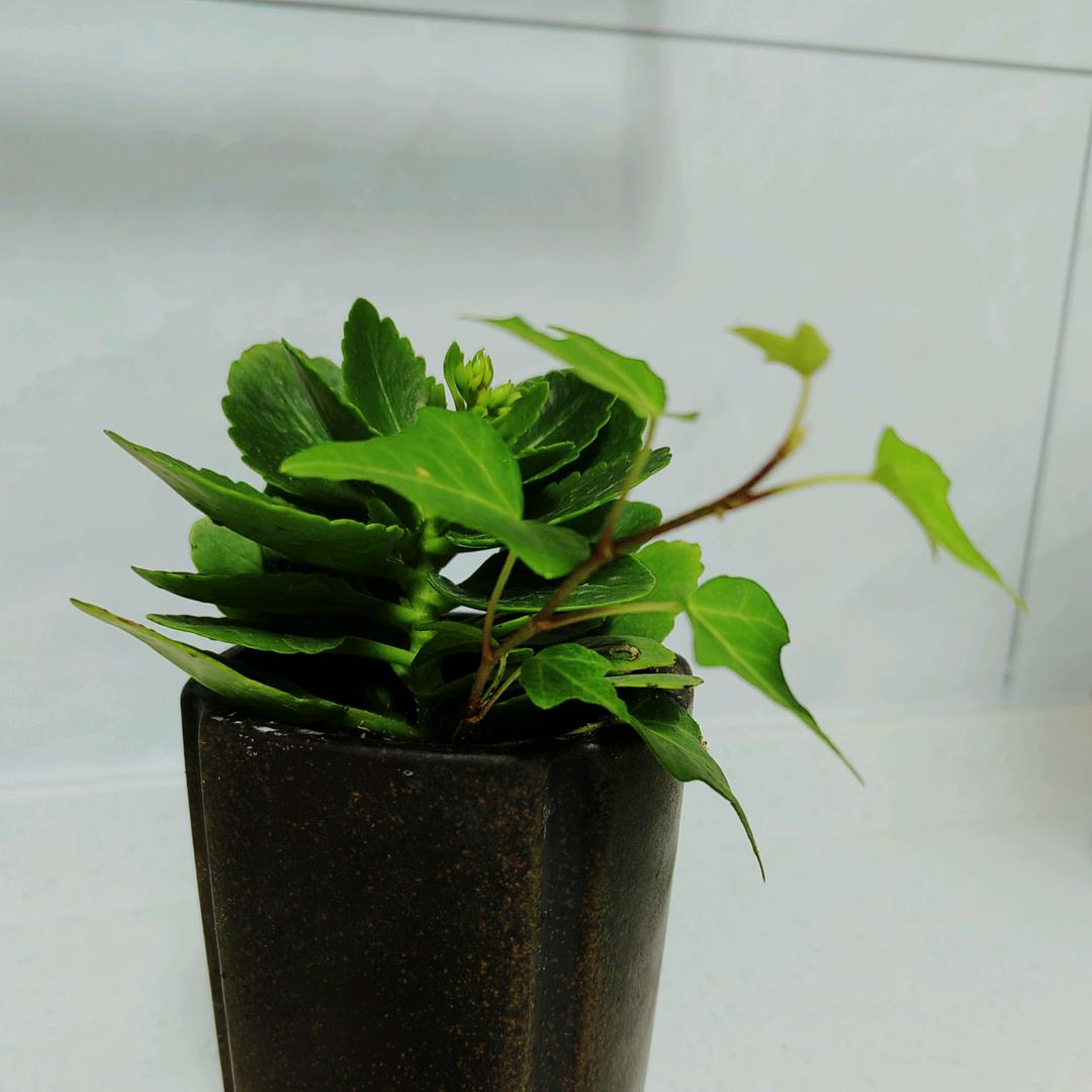 淡定～
