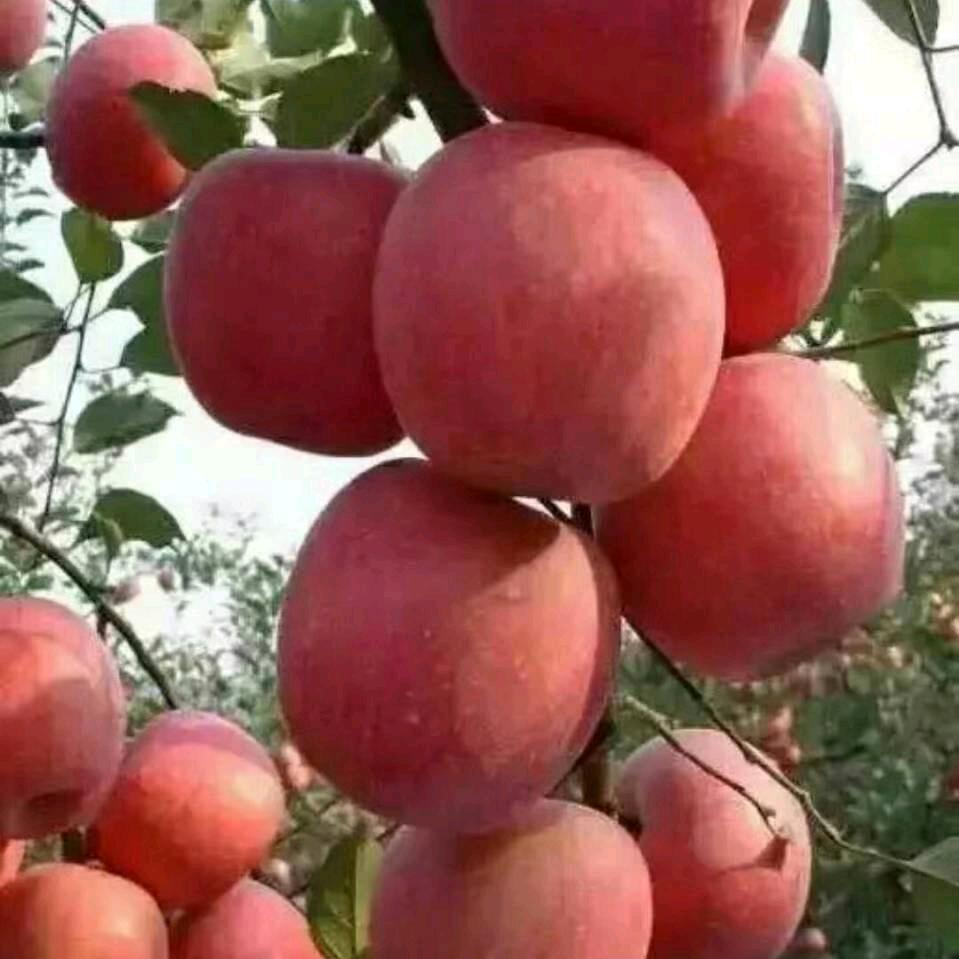 快快乐乐的老男人