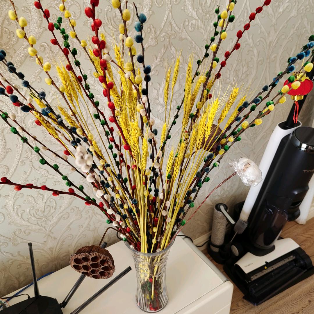 老展