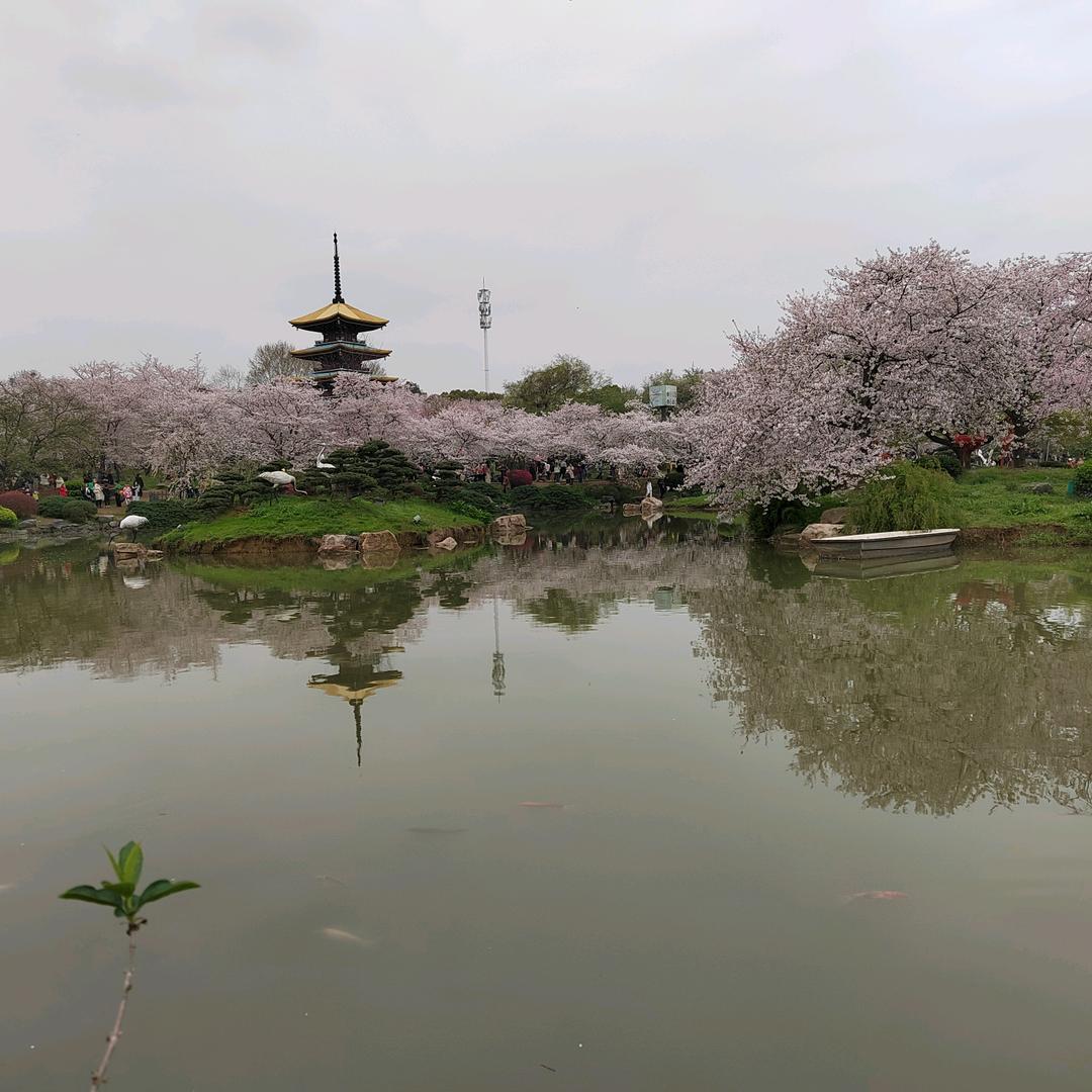 @H活&