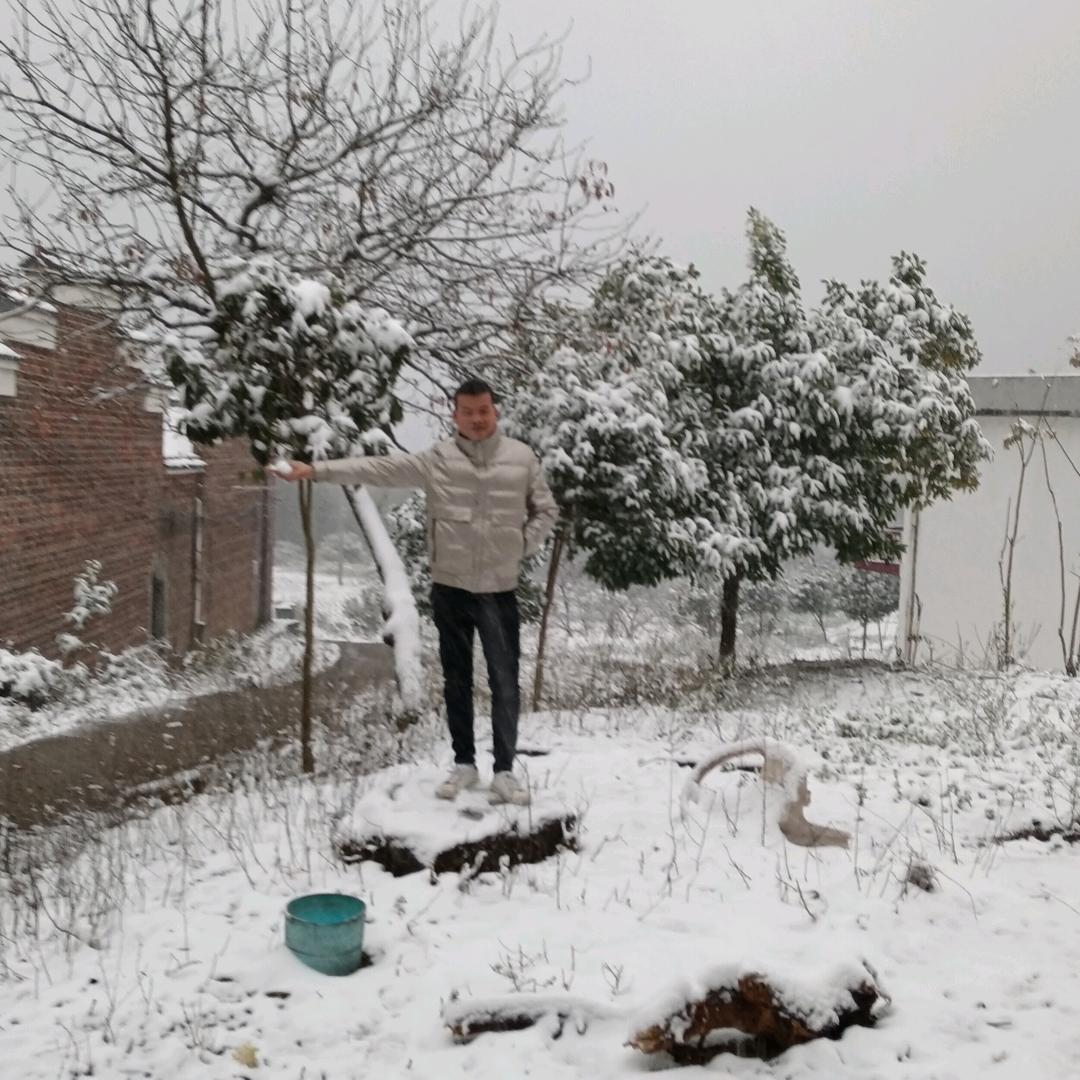 船到桥头自然直