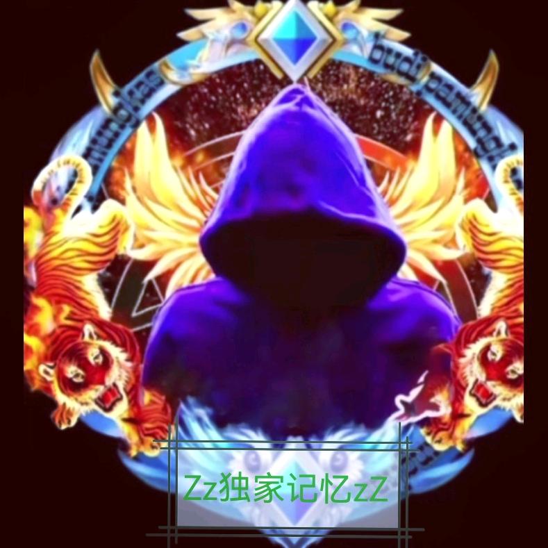 z Z独家记忆 z Z