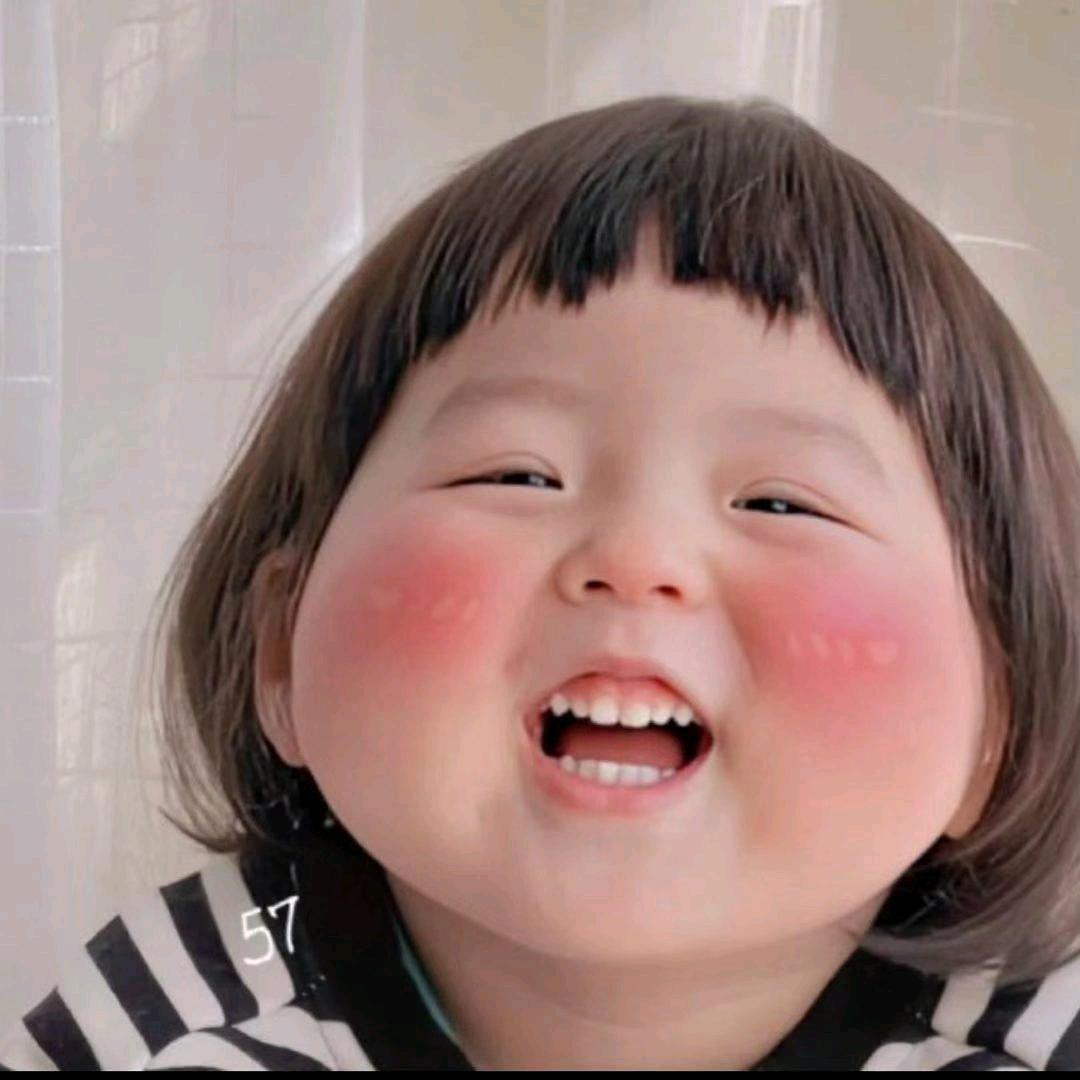 兔先生🐰