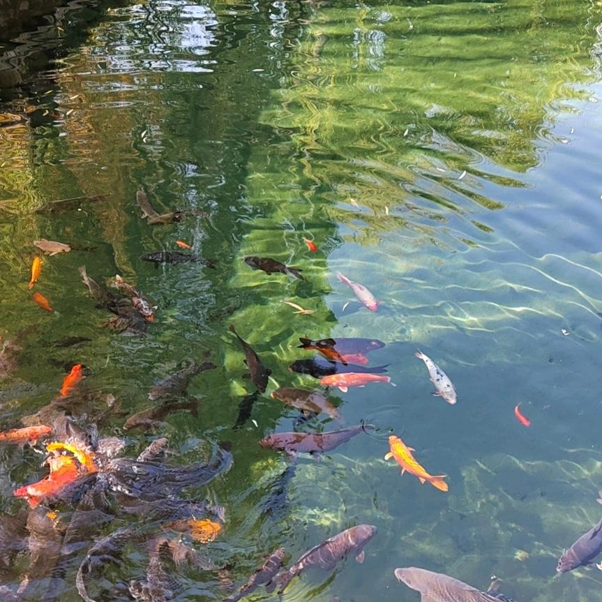 顺其自然12345