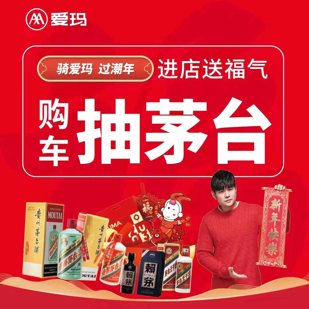 支河道光——金彭电动车