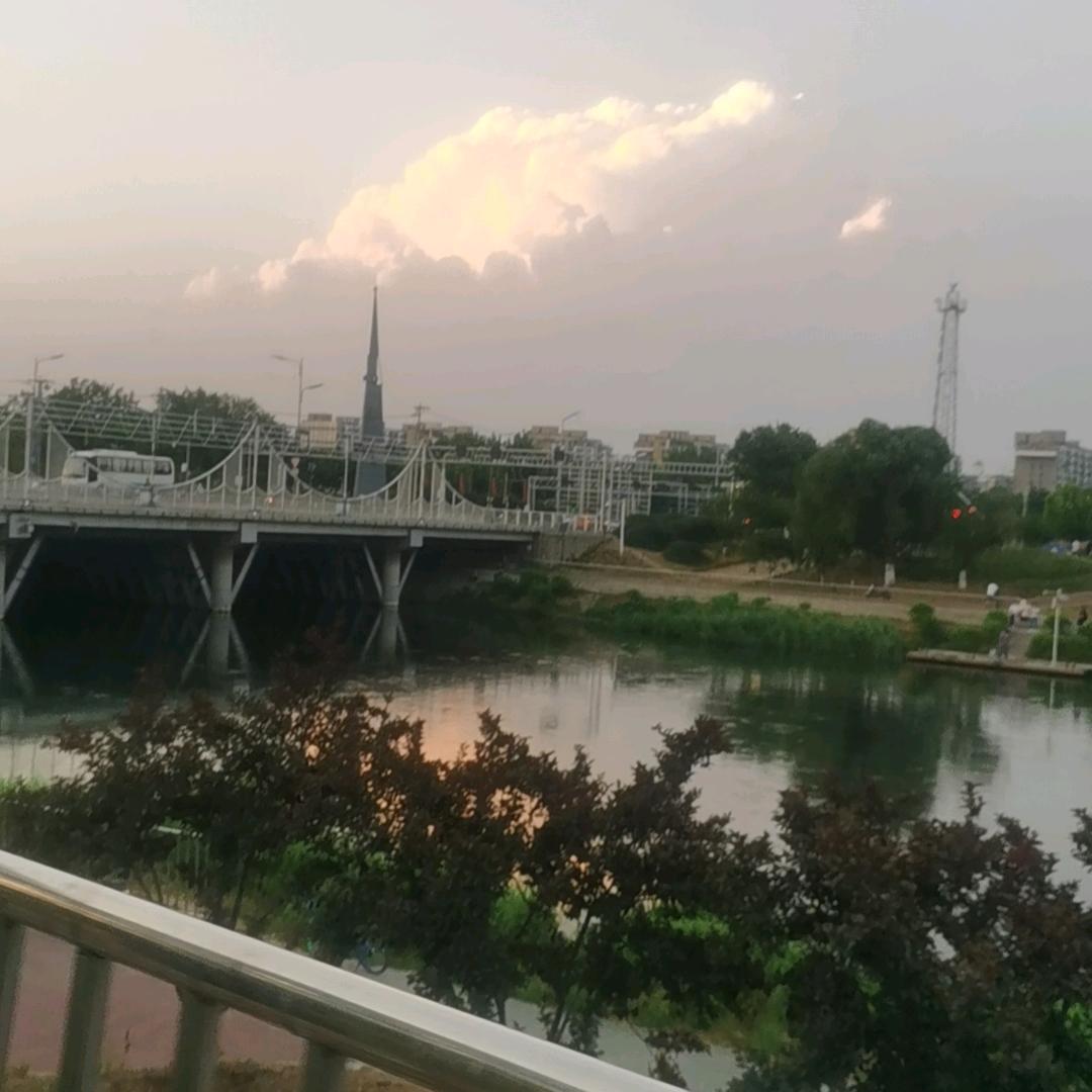 孤独的狼