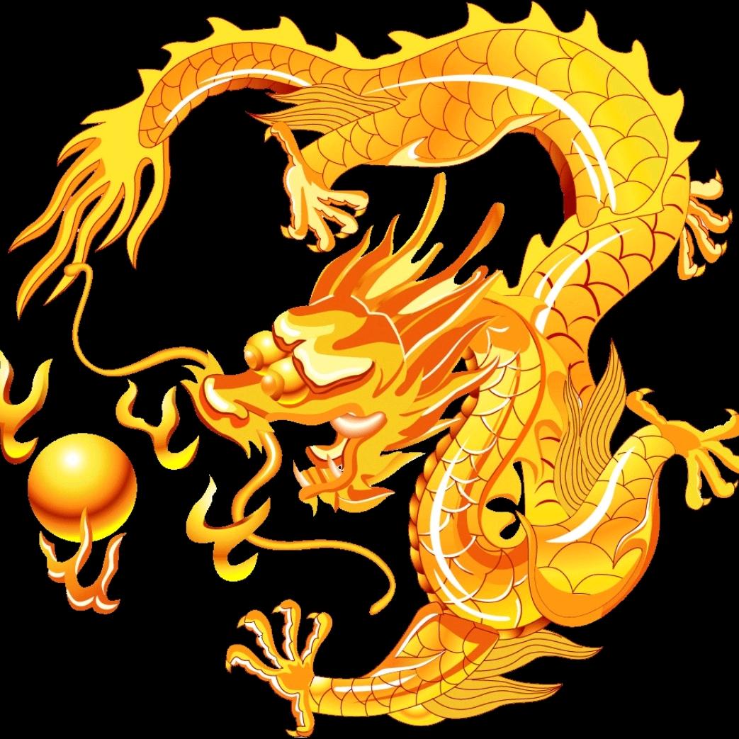 (๑`･ᴗ･´๑)龙🐉飞