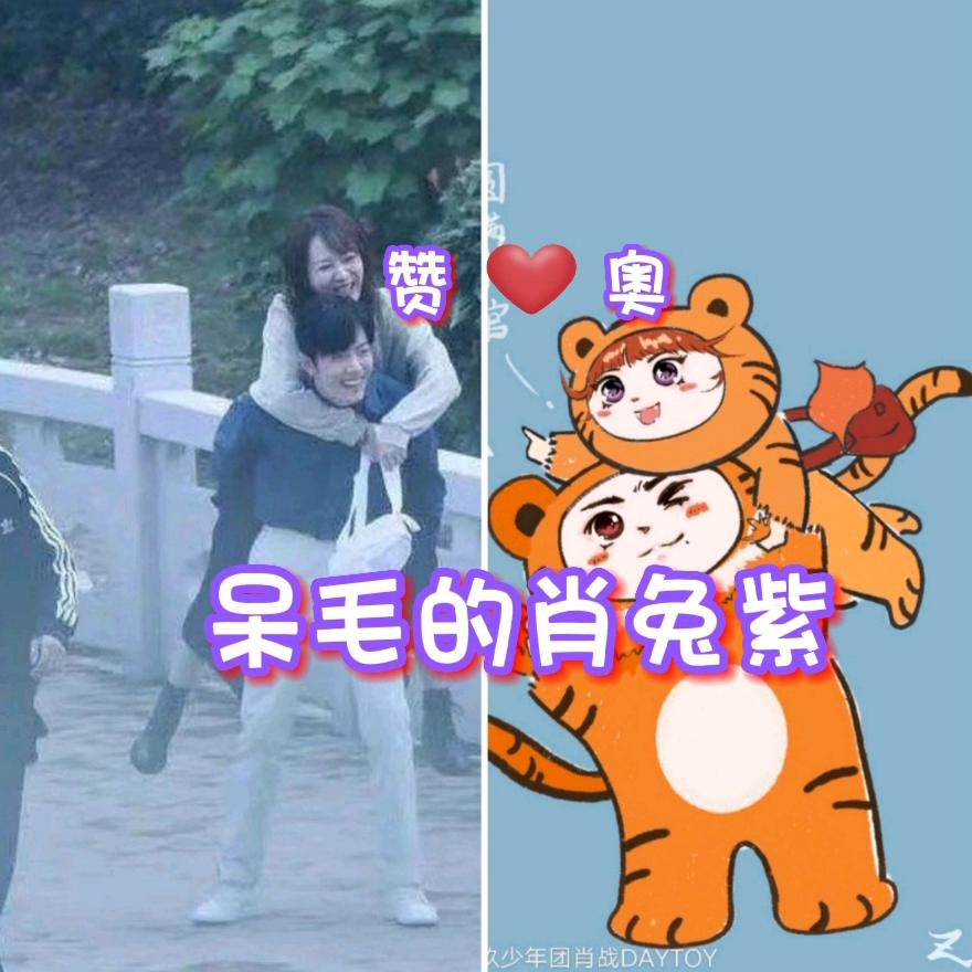 呆毛的肖兔紫小号