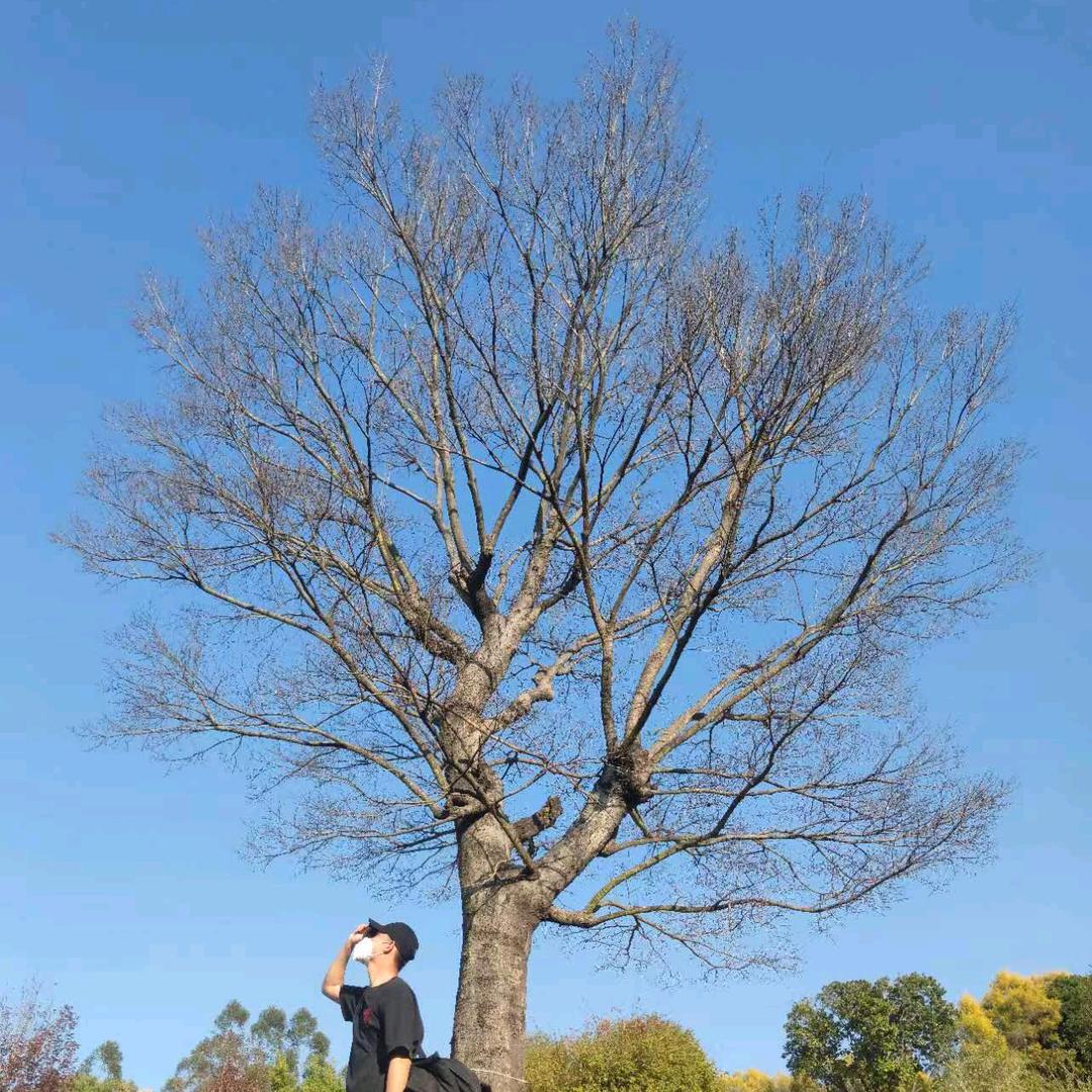 做个有钱途的披萨外卖仔