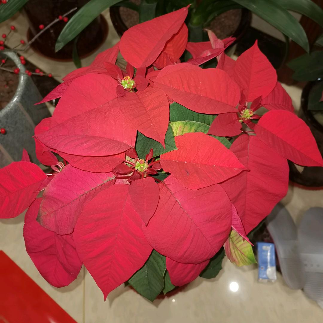 丽丽(ง •̀_•́)ง