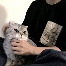 醉晚秋
