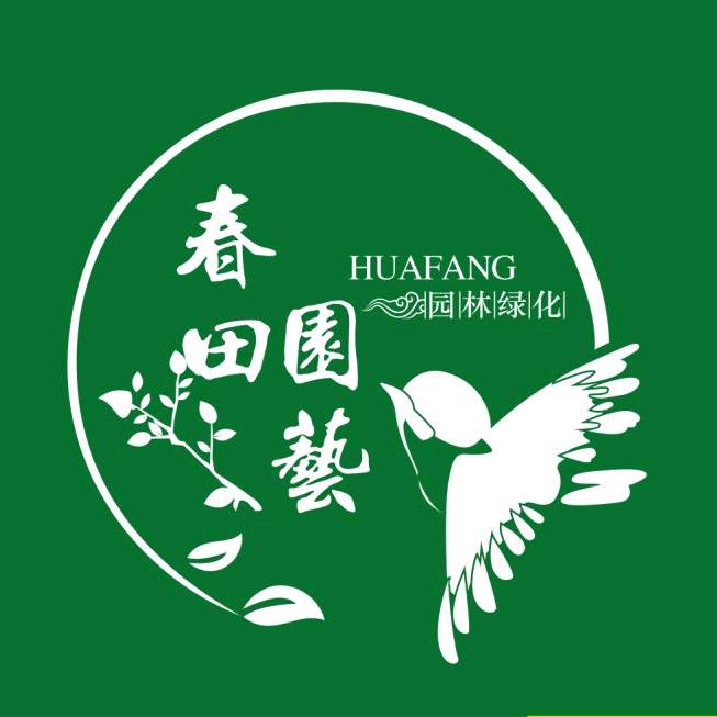 春田园艺金弹子