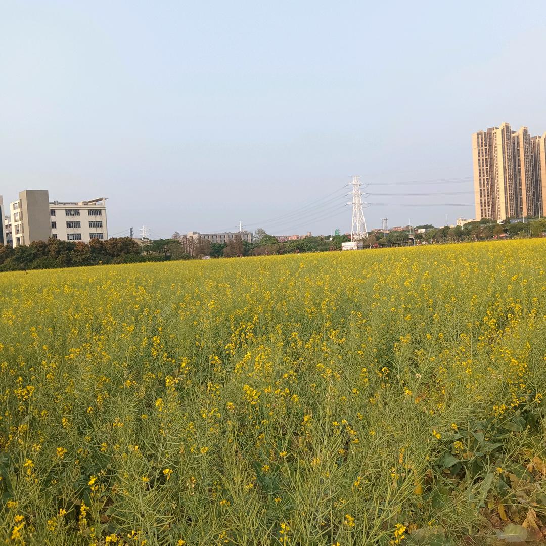 安居乐智能窗饰