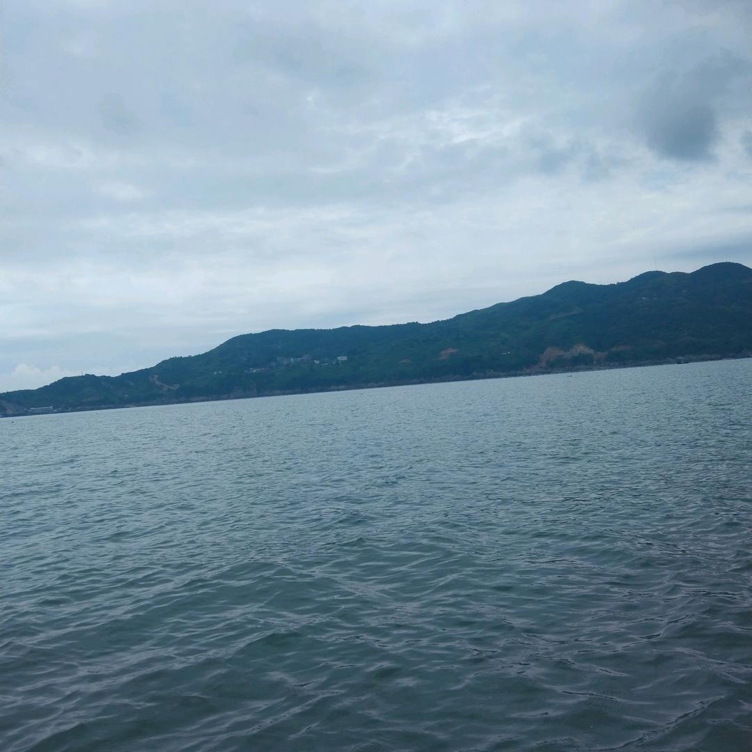 大梅梅