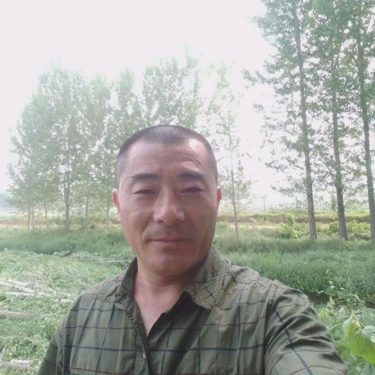 佳豪鹏哥