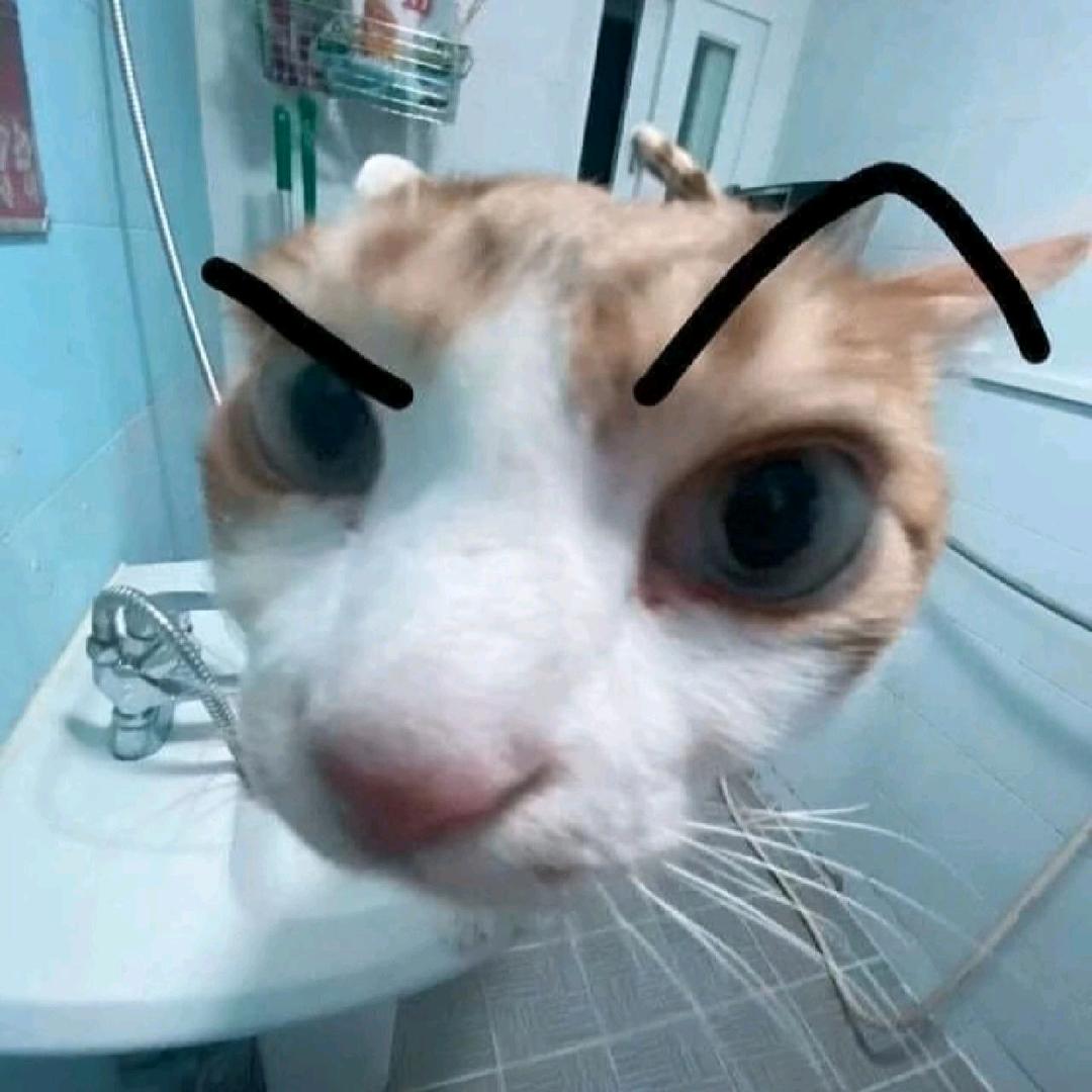 马猴烧酒小川（ai滚）