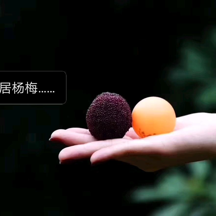 清清👨‍🌾