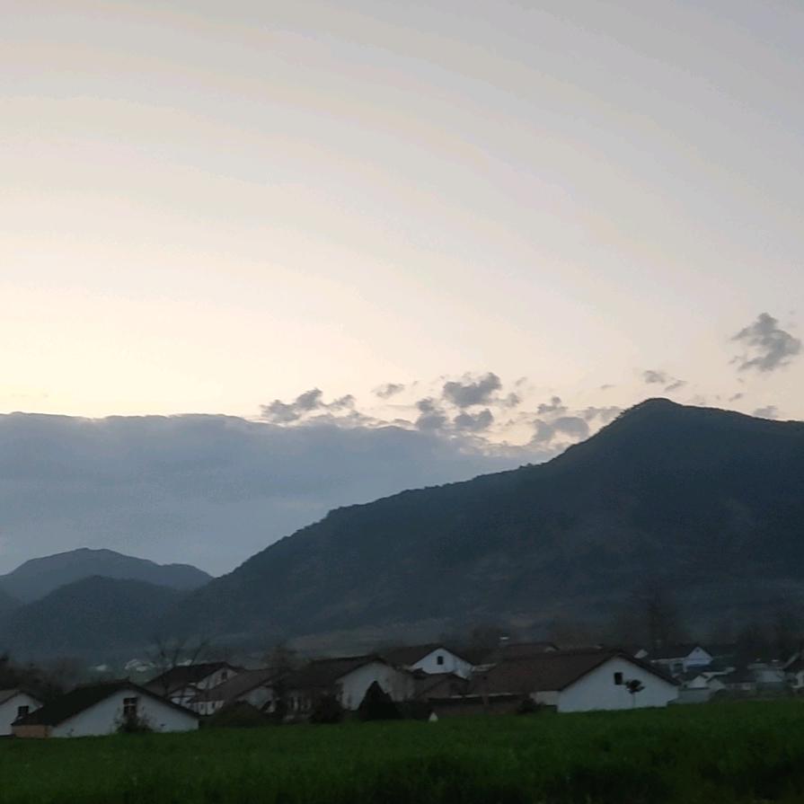 掌上（小强跑喽）