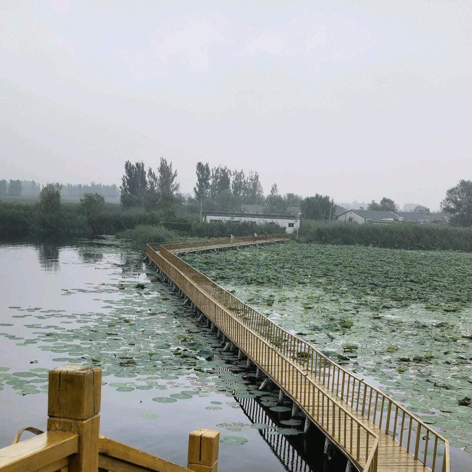 涵涵爸爸