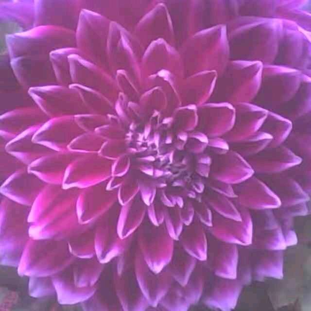 潇洒一生