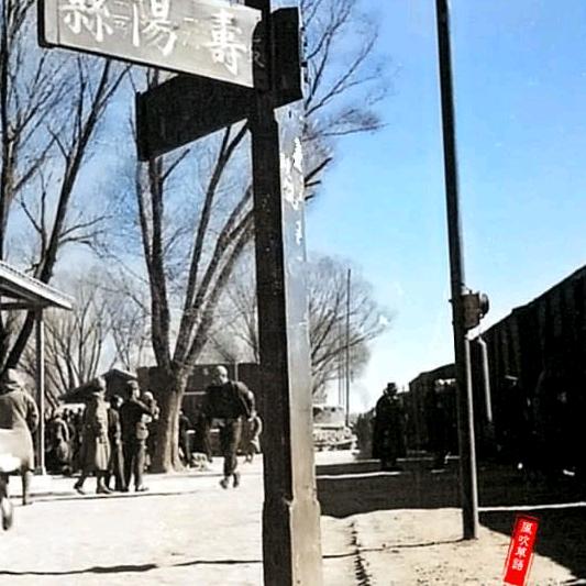 真心无价