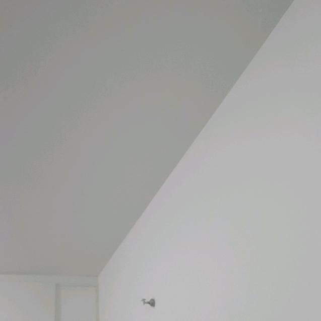 蚂蚁