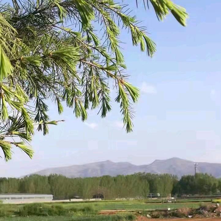 家乡好