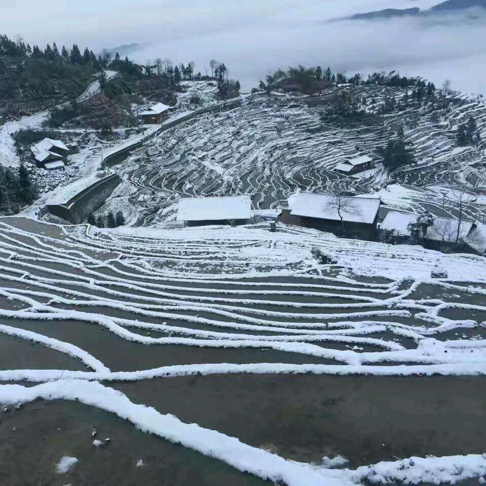 紫鹊界梯田土特产销售，餐饮住宿，导游服务