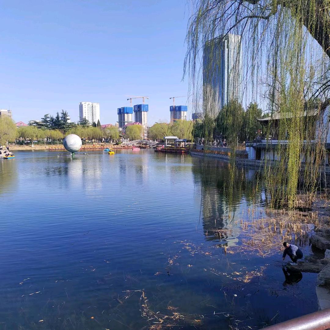 黑哥车行爱唱歌