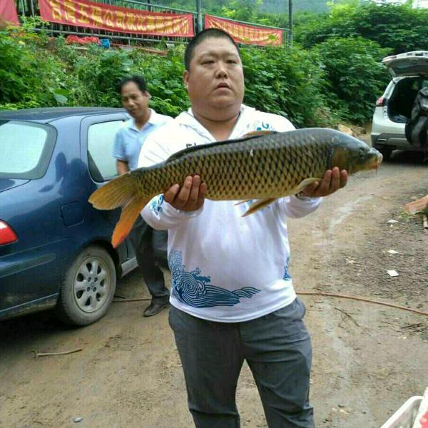伟航聊钓鱼