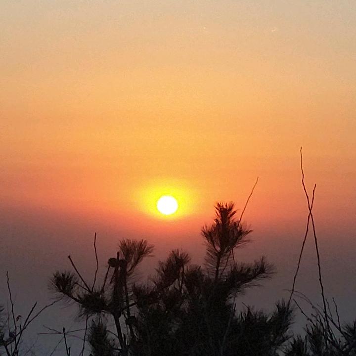 雷