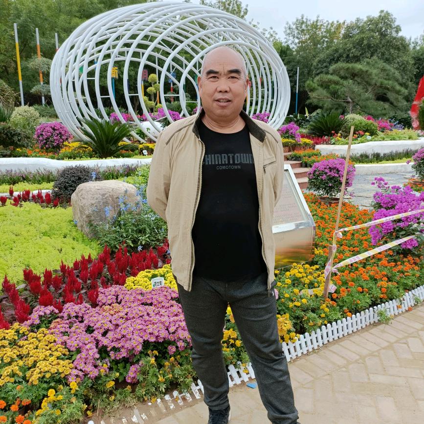 老高专业搞二手车