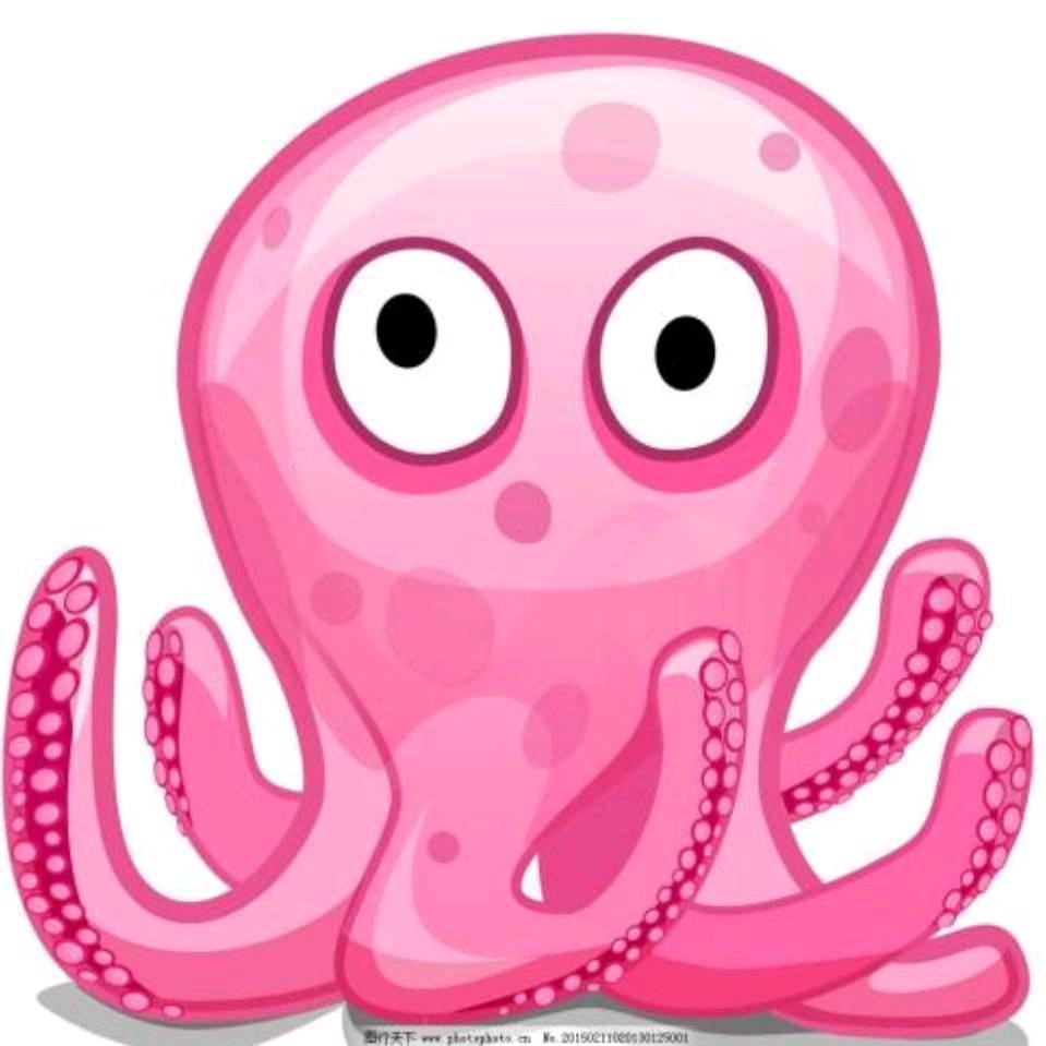 章鱼儿🐙