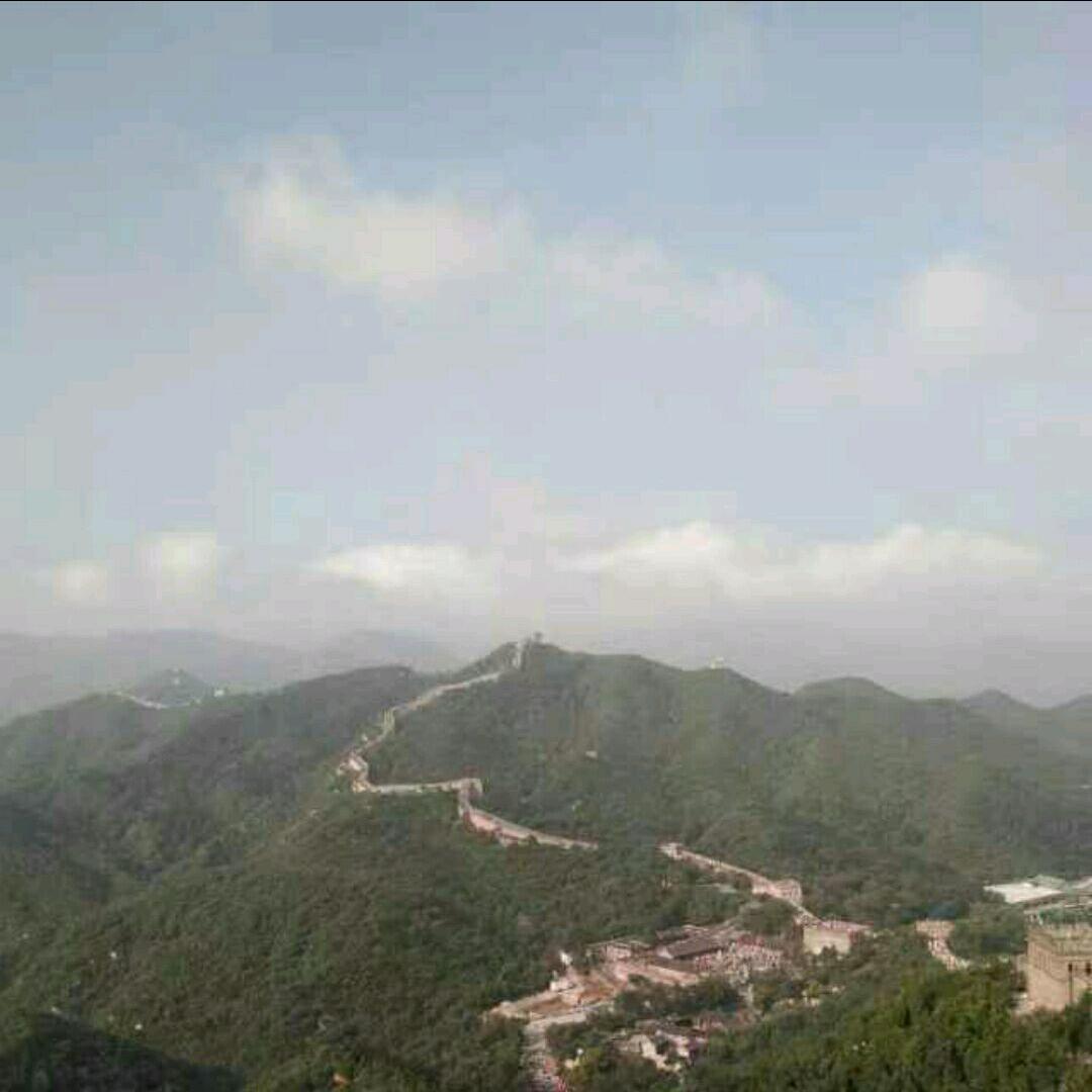 陈*