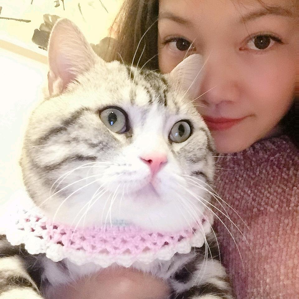 爱猫的毛姐姐