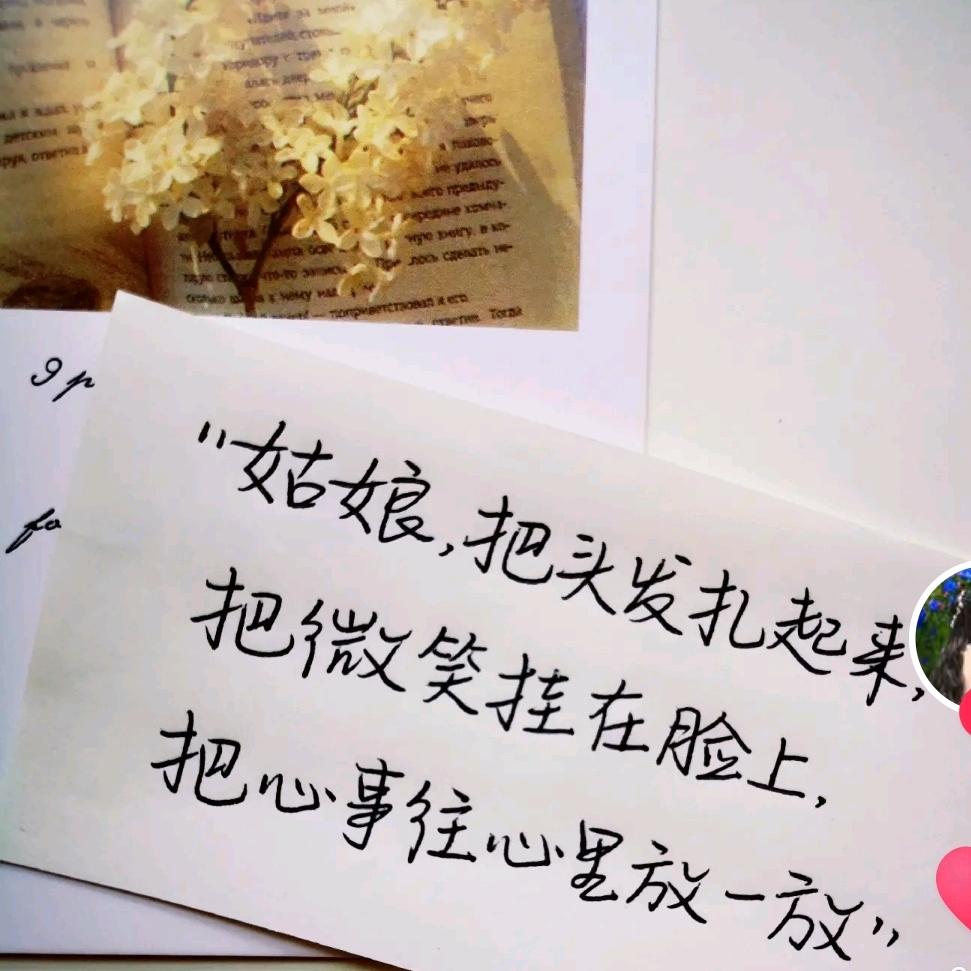 山东慧慧在海南