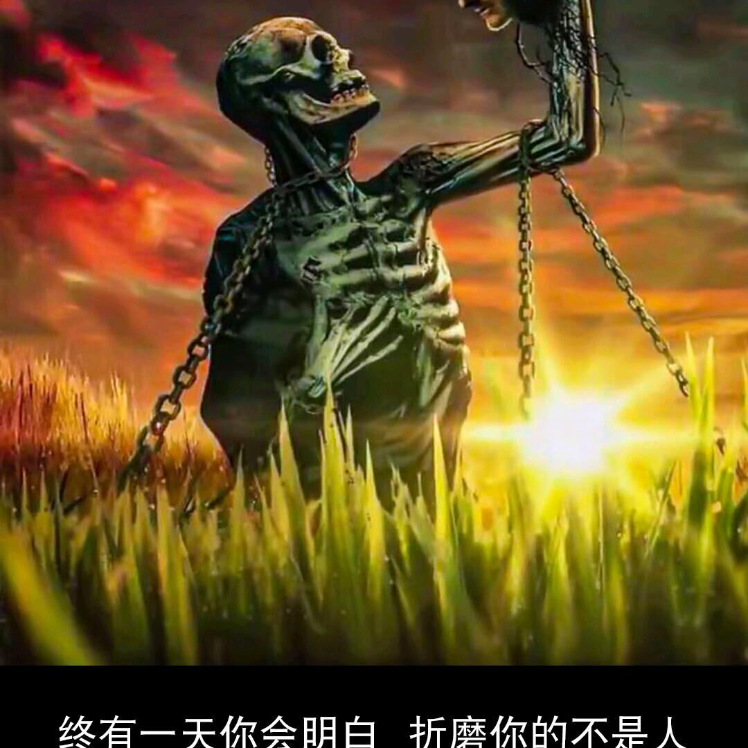 狼步荒城