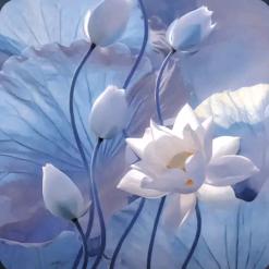 春暖花开~