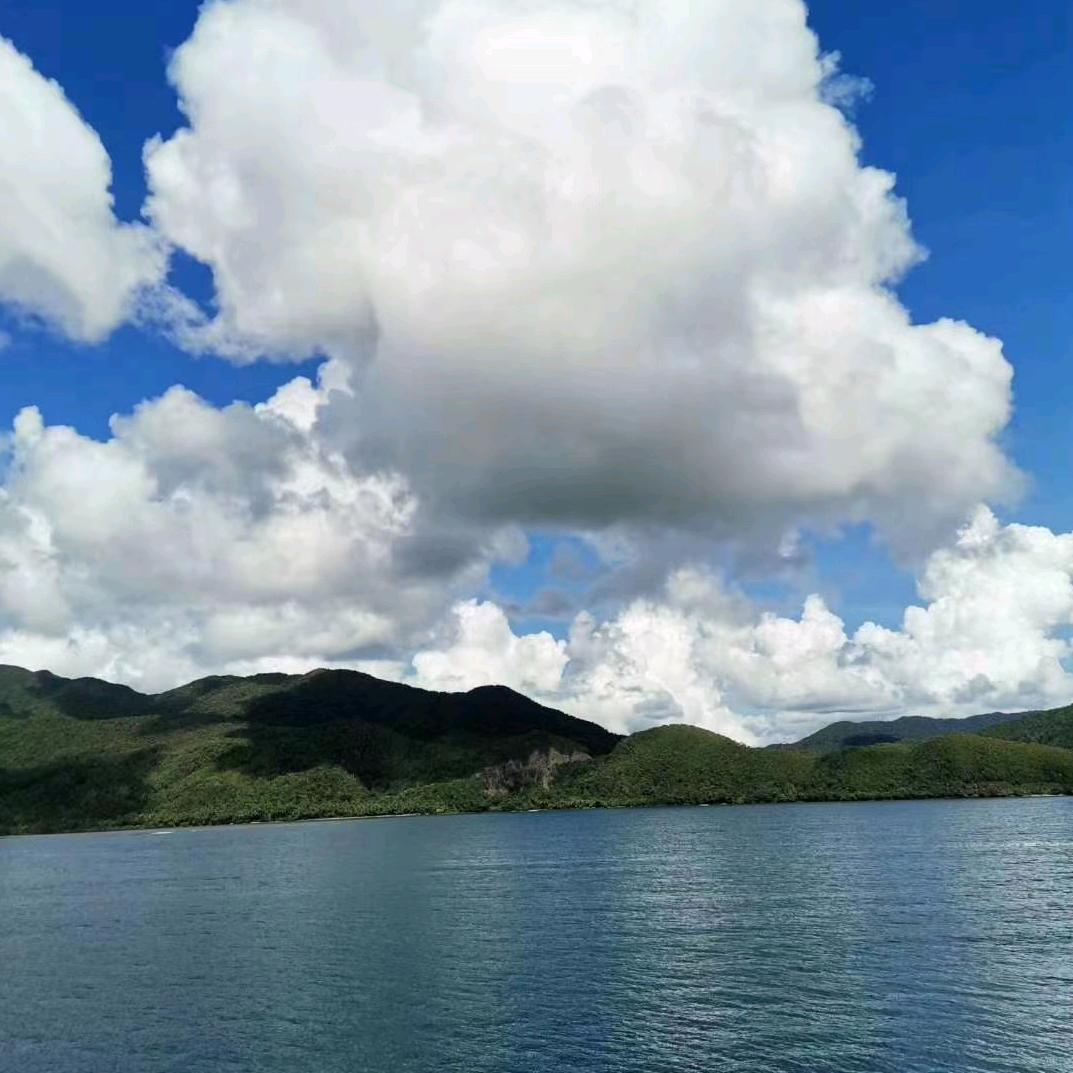 淡淡的海水，咸咸的鱼🐠