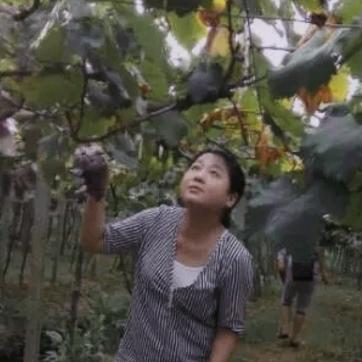 情闲
