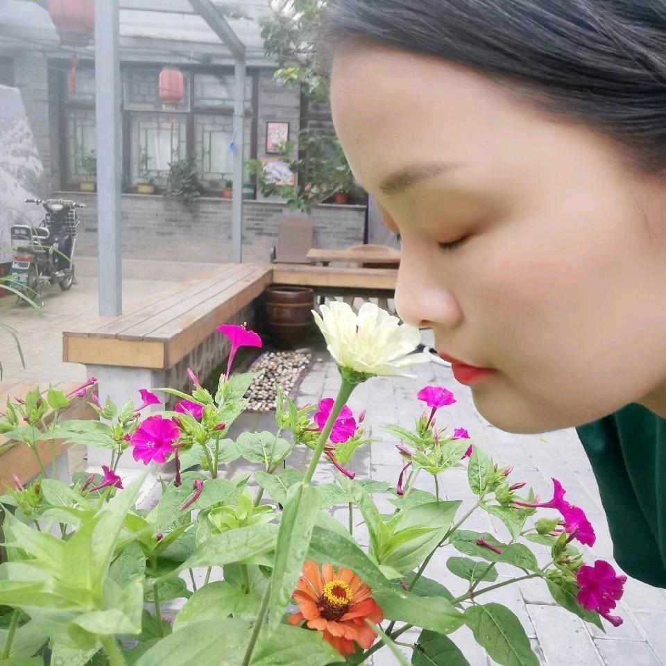 栀子花开