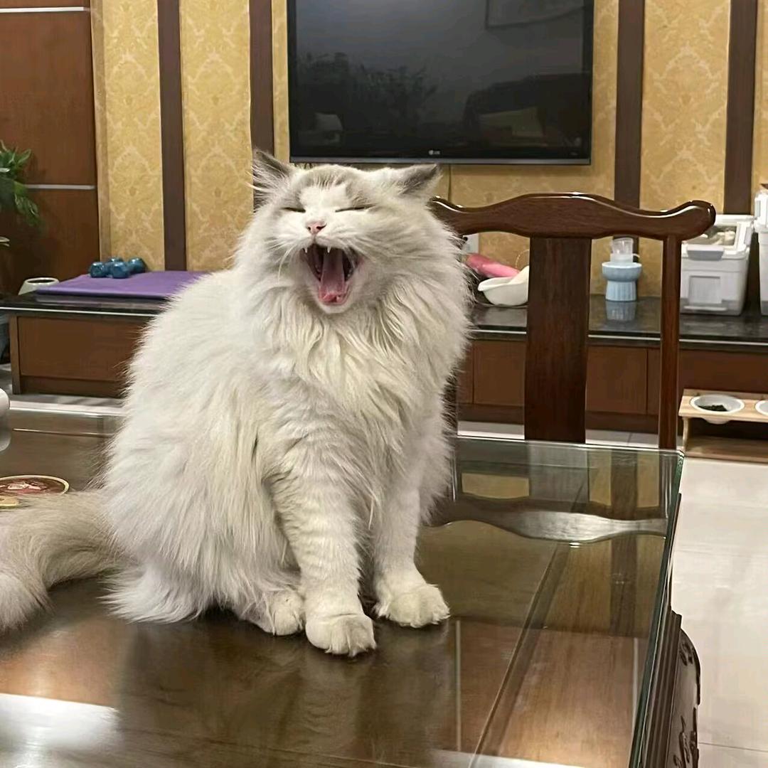嘿嘿嘿