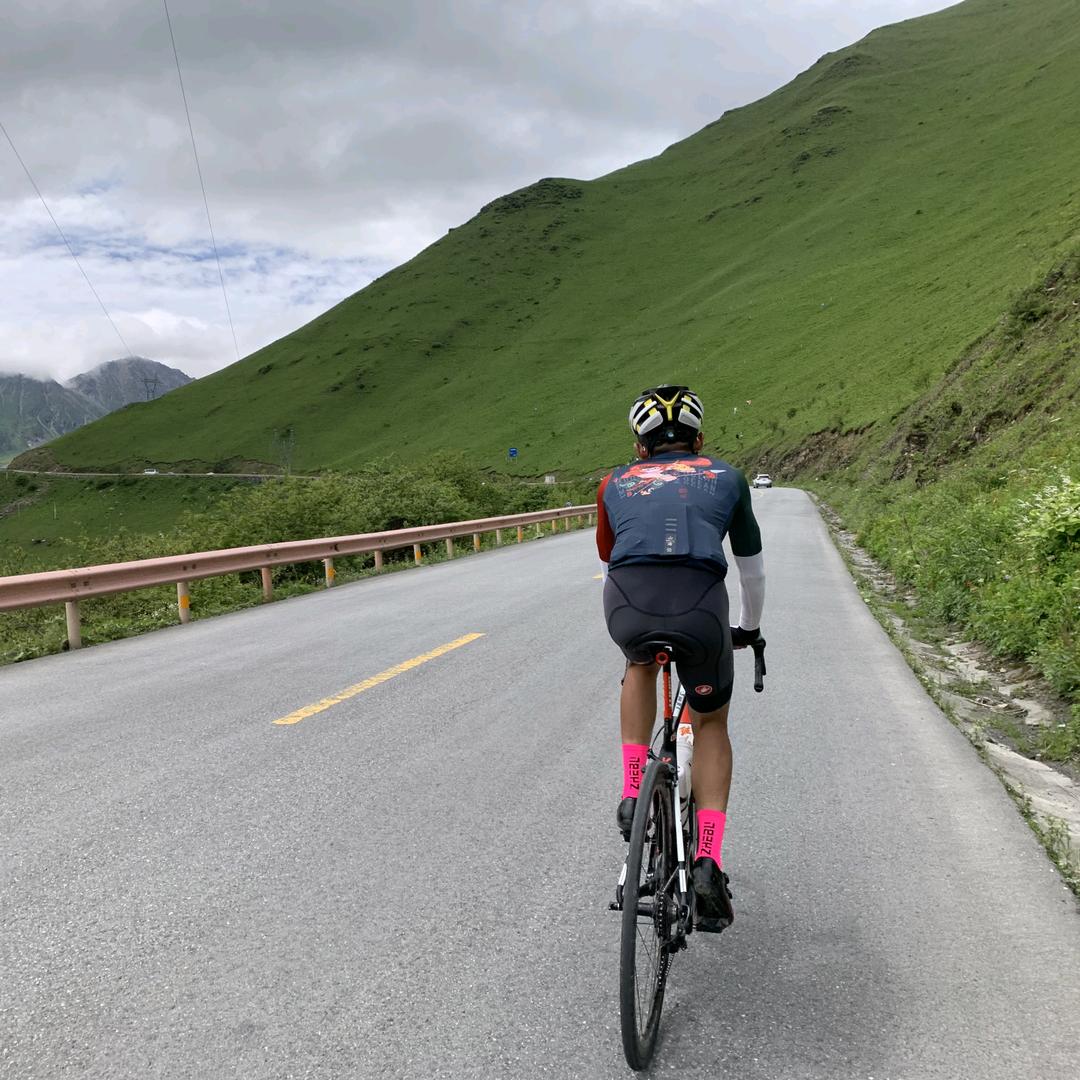 我养的黑猫太白