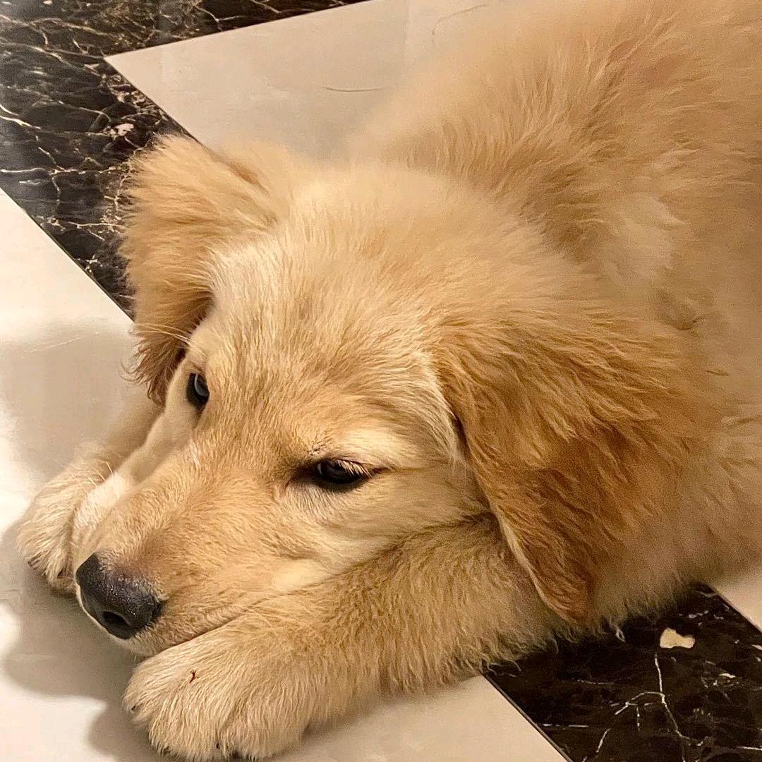 小邹潮玩