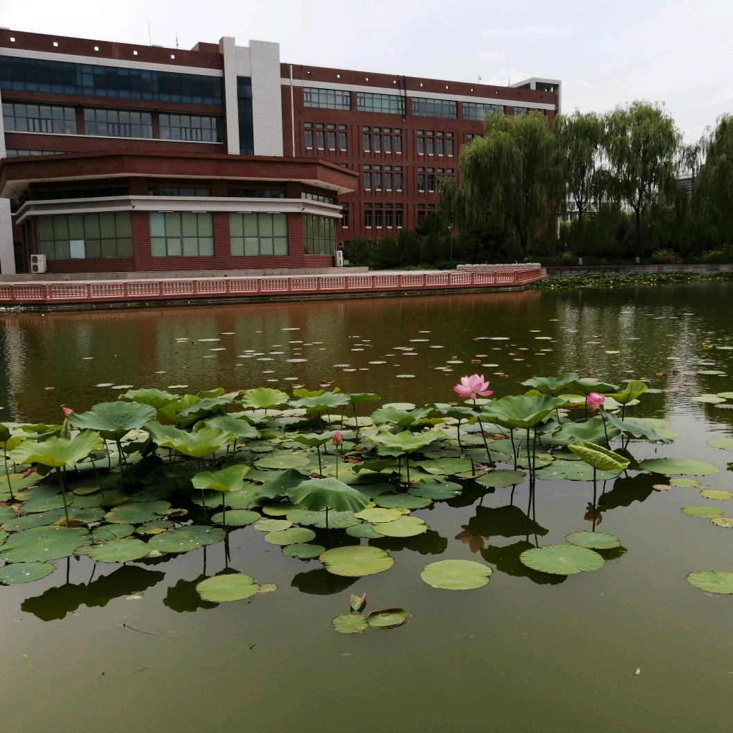 东方欲晓